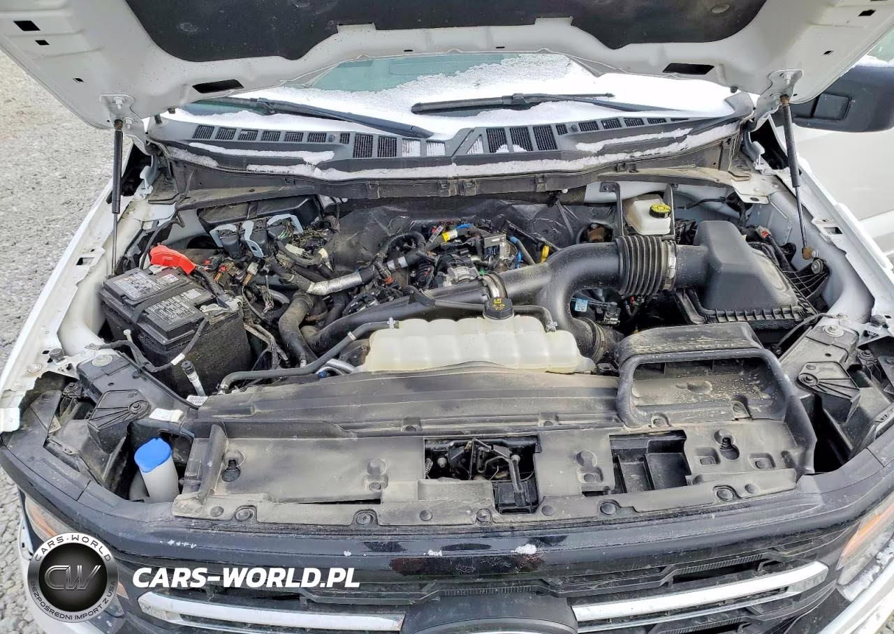 2025 Ford F150 Xlt VIN:1FTEW3LPXSKD62536 - 11