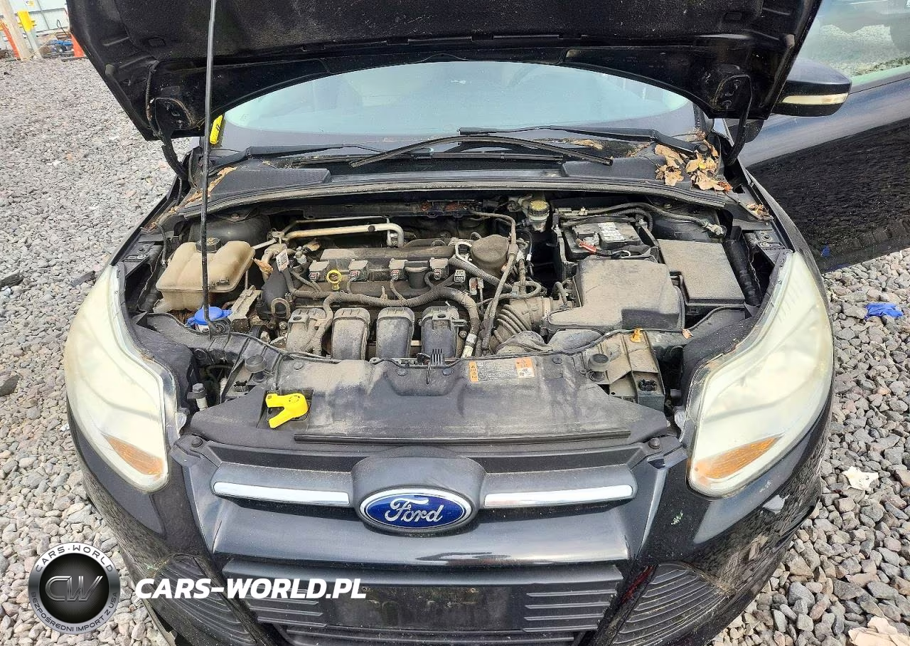 2014 Ford Focus Se VIN:1FADP3K23EL302696 - 11