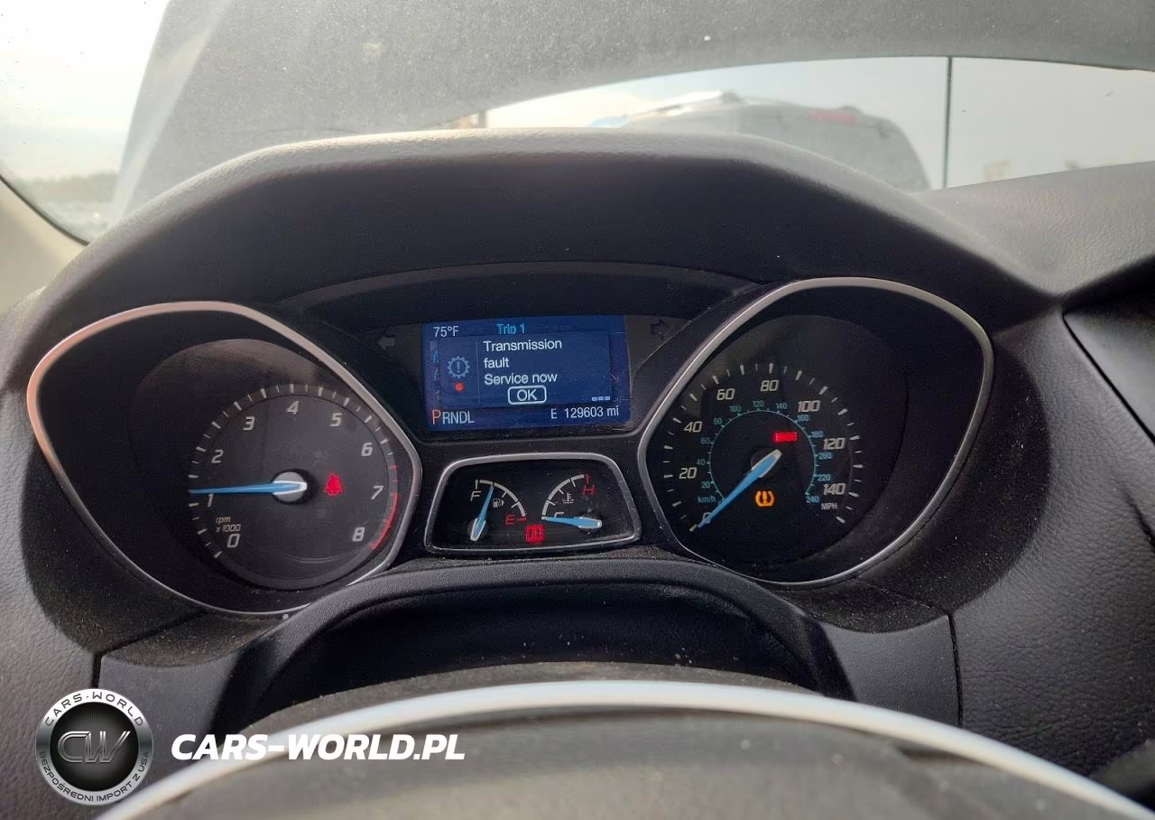 2014 Ford Focus Se VIN:1FADP3K23EL302696 - 9