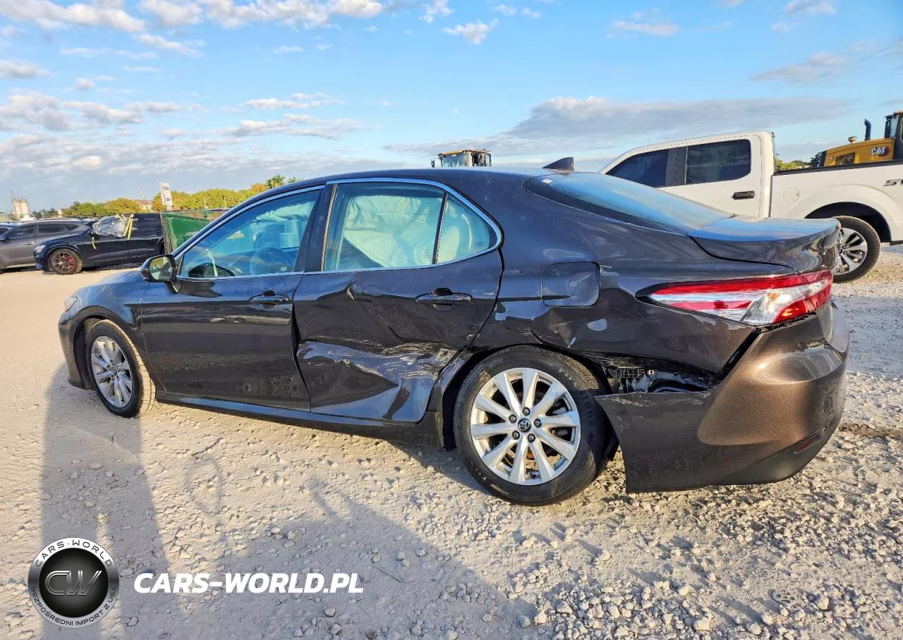 2020 Toyota Camry Le VIN:4T1C11AKXLU943943 - 2