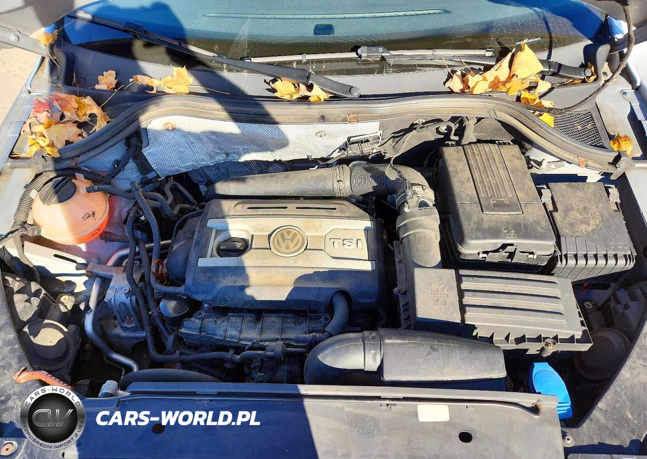 2011 Volkswagen Tiguan S VIN:WVGBV7AX2BW546518 - 12