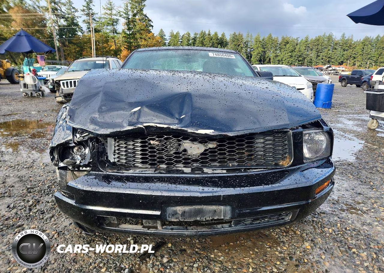 2005 Ford Mustang VIN:1ZVFT80N555239126 - 5
