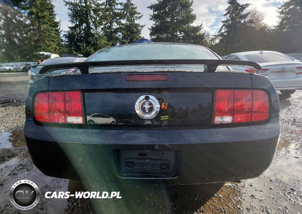 2005 Ford Mustang VIN:1ZVFT80N555239126 - 6