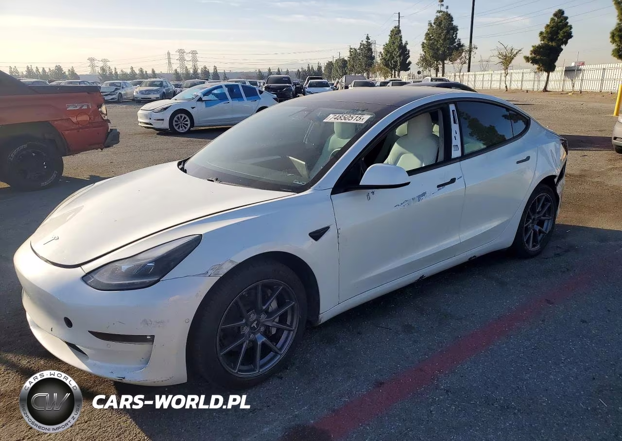 2021 Tesla Model 3