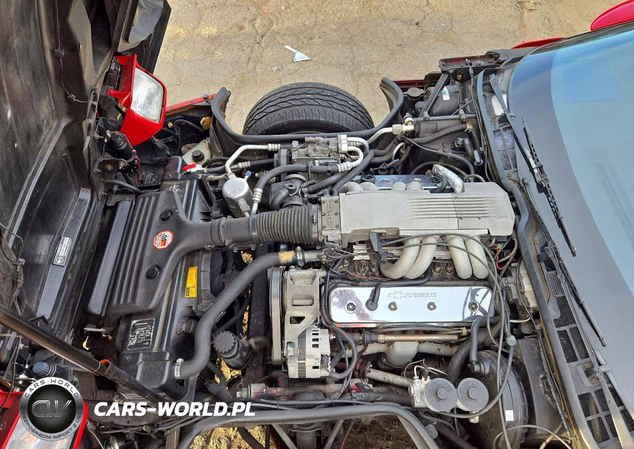 1989 Chevrolet Corvette VIN:1G1YY2182K5117606 - 11