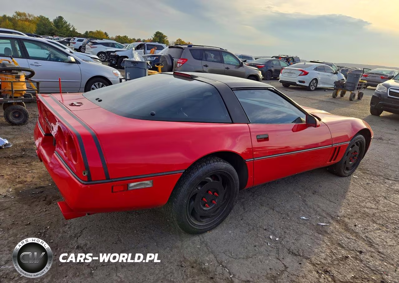 1989 Chevrolet Corvette VIN:1G1YY2182K5117606 - 3