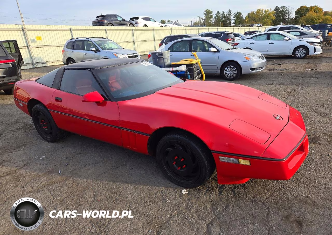 1989 Chevrolet Corvette VIN:1G1YY2182K5117606 - 4