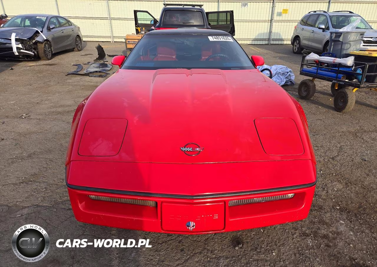1989 Chevrolet Corvette VIN:1G1YY2182K5117606 - 5