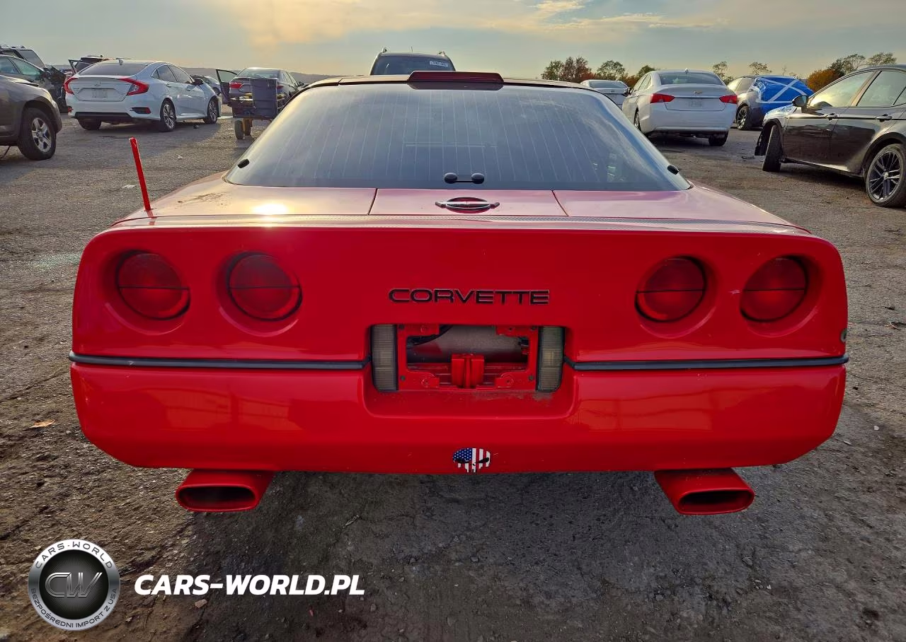 1989 Chevrolet Corvette VIN:1G1YY2182K5117606 - 6