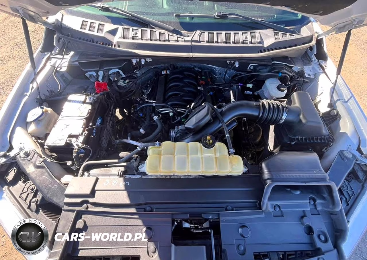 2020 Ford F150 Supercrew VIN:1FTEW1E50LFB12006 - 11