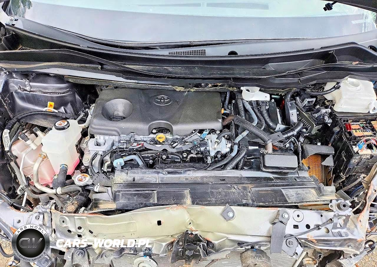 2025 Toyota Sienna Xle VIN:5TDYRKEC6SS242010 - 12