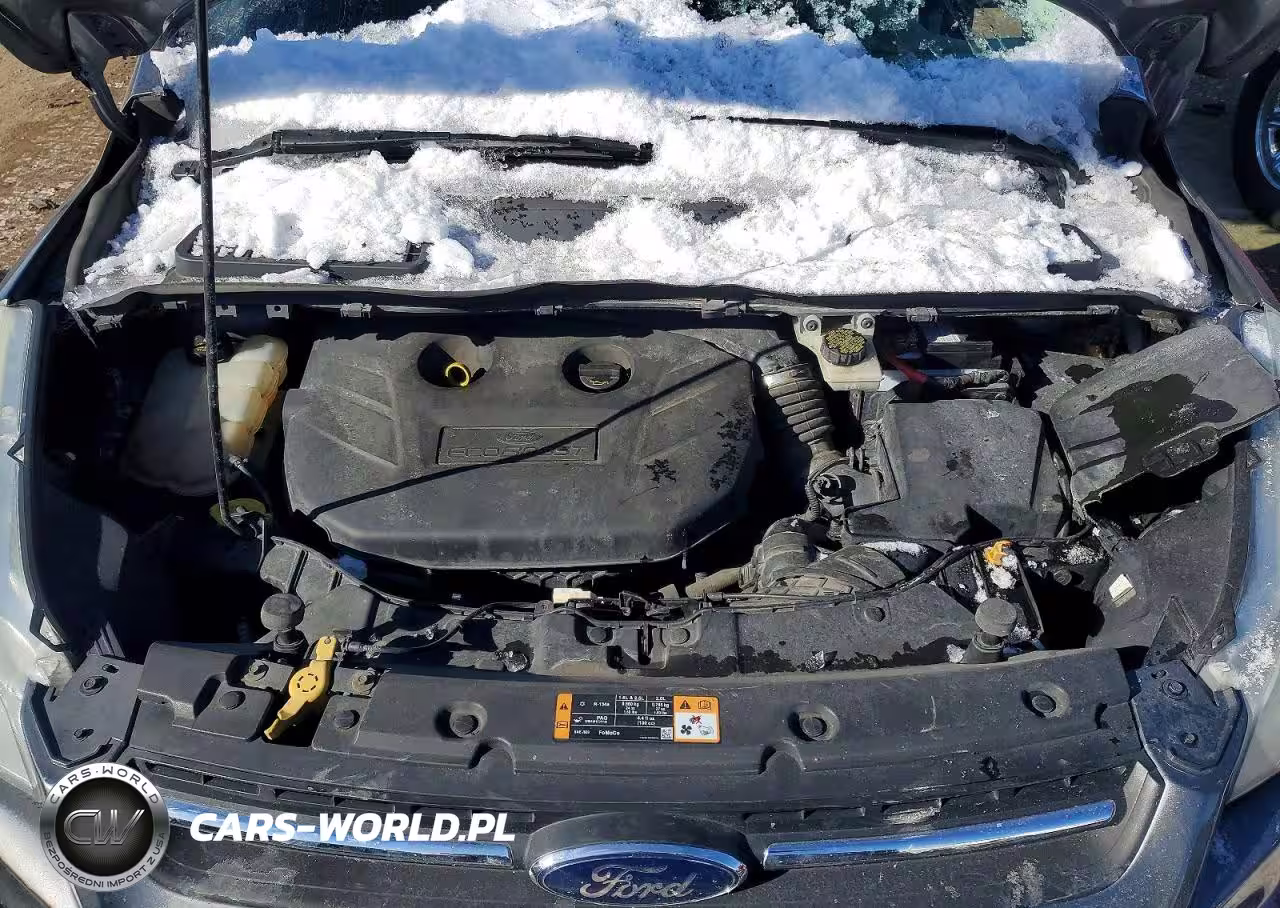 2014 Ford Escape Se VIN:1FMCU0G92EUE29500 - 11
