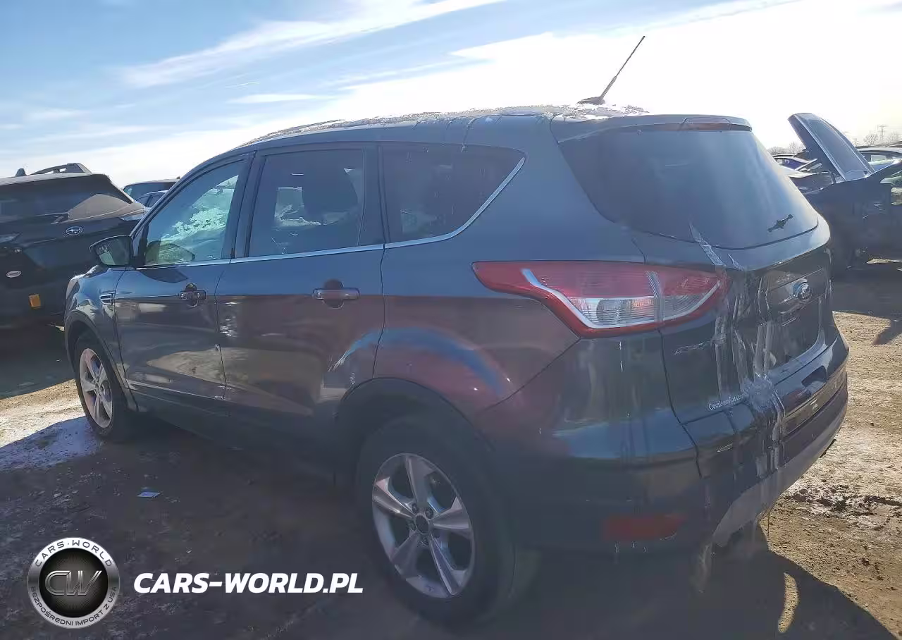 2014 Ford Escape Se VIN:1FMCU0G92EUE29500 - 2