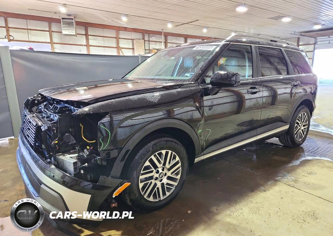 2026 Hyundai Palisade Sel VIN:KM8RLES20TU118939 - 1