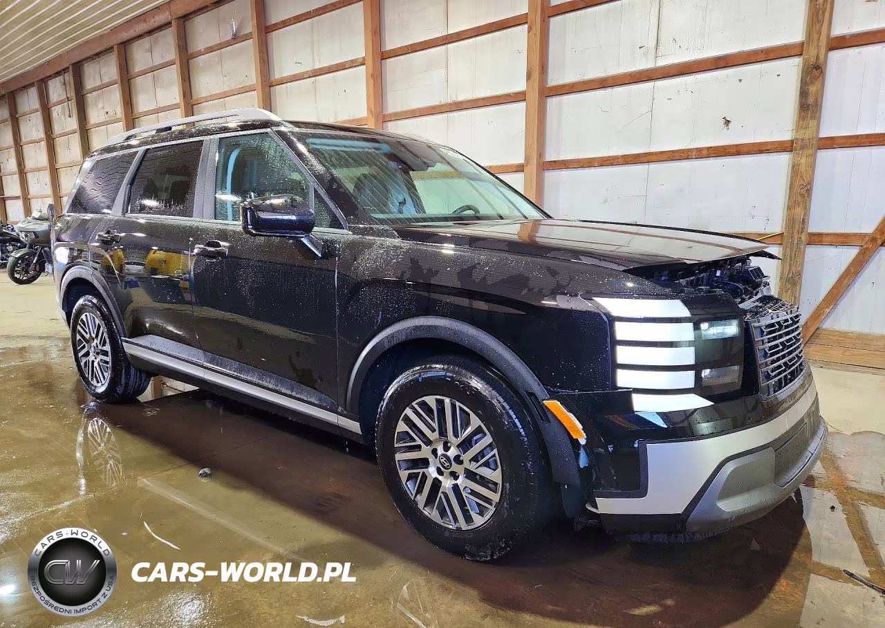 2026 Hyundai Palisade Sel VIN:KM8RLES20TU118939 - 4