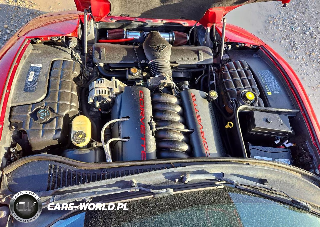 1998 Chevrolet Corvette VIN:1G1YY32G6W5106156 - 11