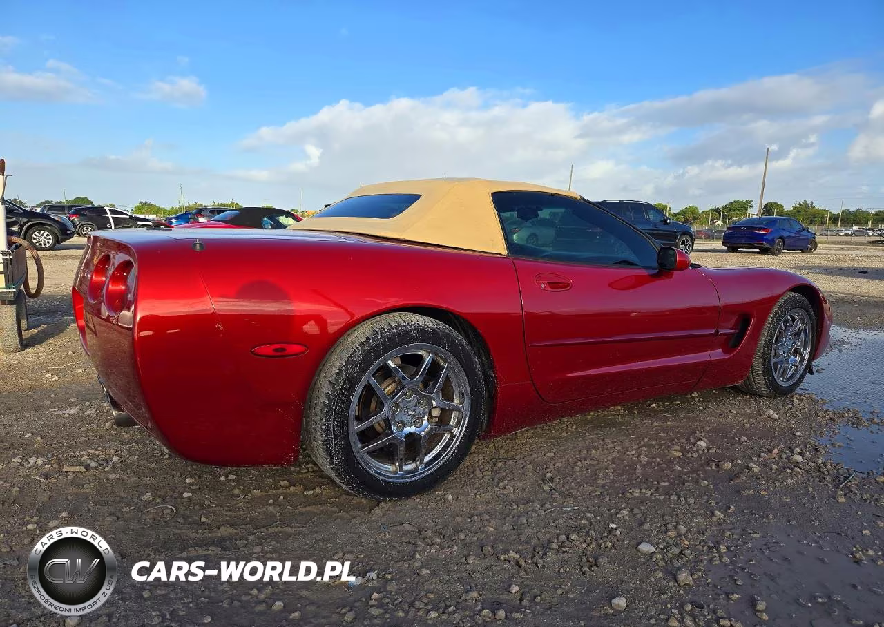 1998 Chevrolet Corvette VIN:1G1YY32G6W5106156 - 3