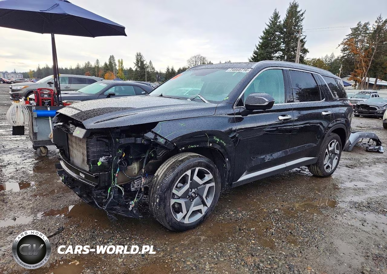 2025 Hyundai Palisade Limited VIN:KM8R5DGE3SU895606 - 1