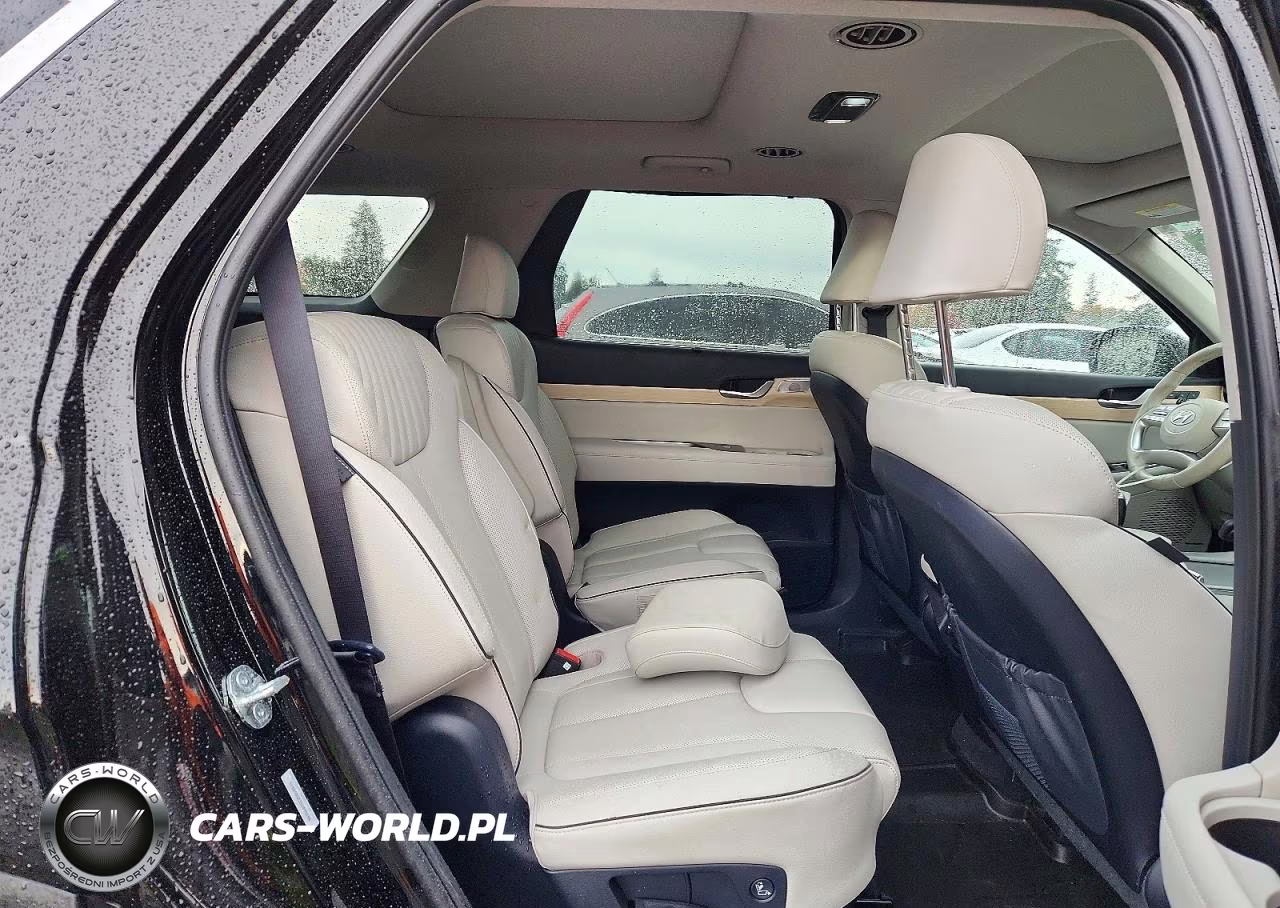 2025 Hyundai Palisade Limited VIN:KM8R5DGE3SU895606 - 11