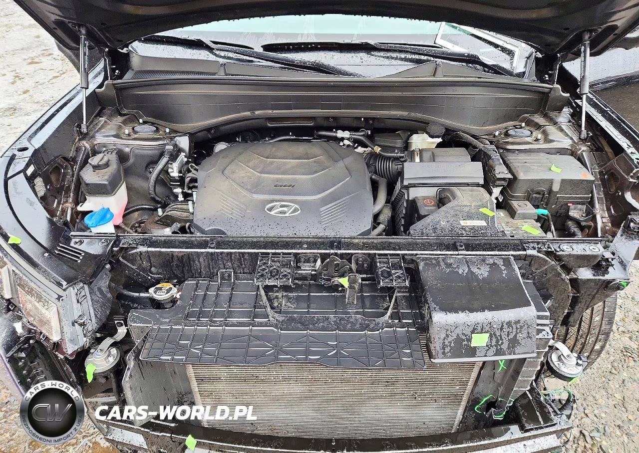 2025 Hyundai Palisade Limited VIN:KM8R5DGE3SU895606 - 12