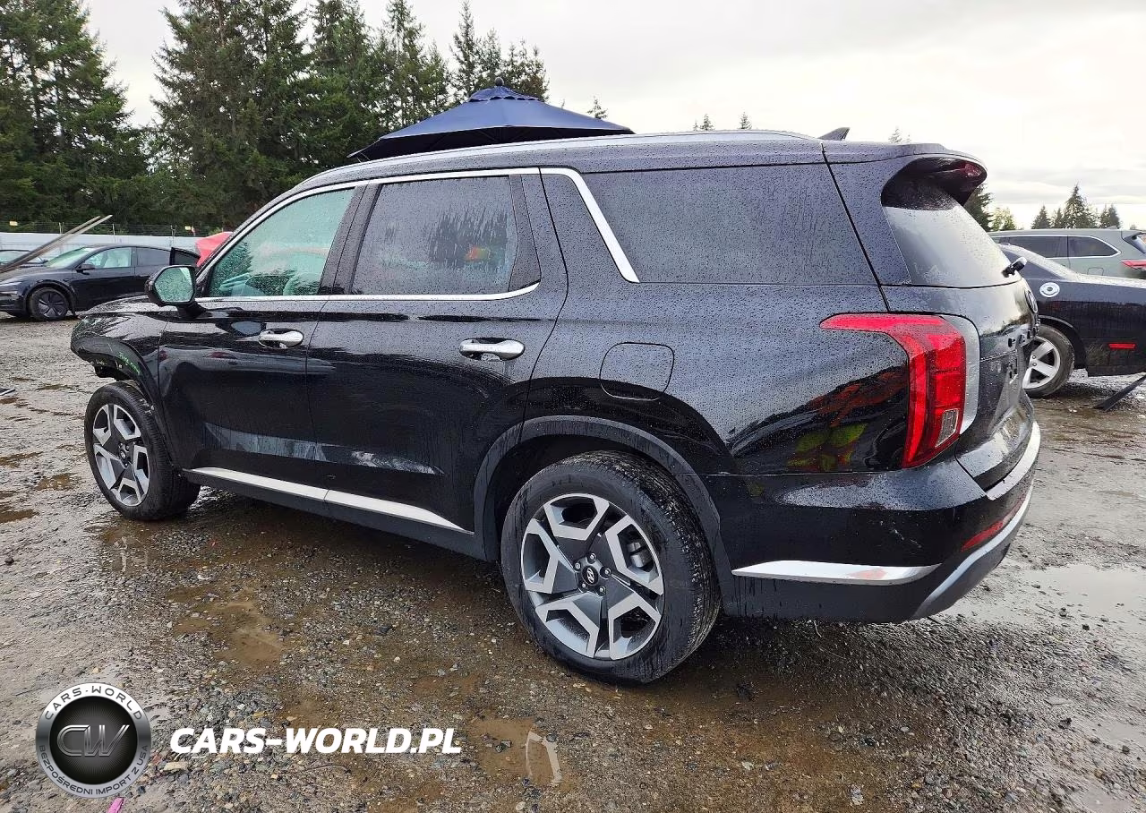 2025 Hyundai Palisade Limited VIN:KM8R5DGE3SU895606 - 2