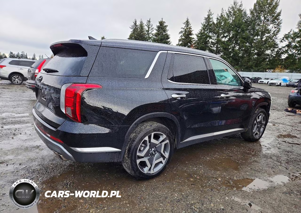 2025 Hyundai Palisade Limited VIN:KM8R5DGE3SU895606 - 3