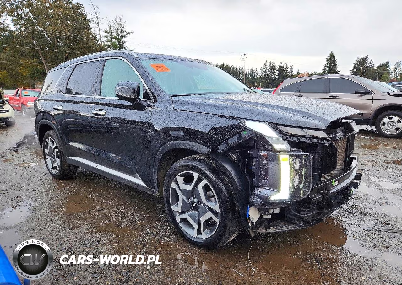 2025 Hyundai Palisade Limited VIN:KM8R5DGE3SU895606 - 4