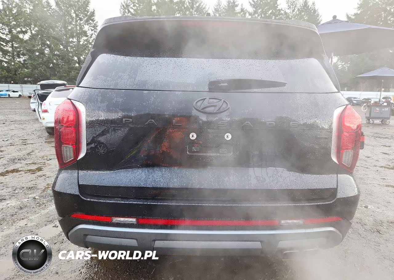 2025 Hyundai Palisade Limited VIN:KM8R5DGE3SU895606 - 6