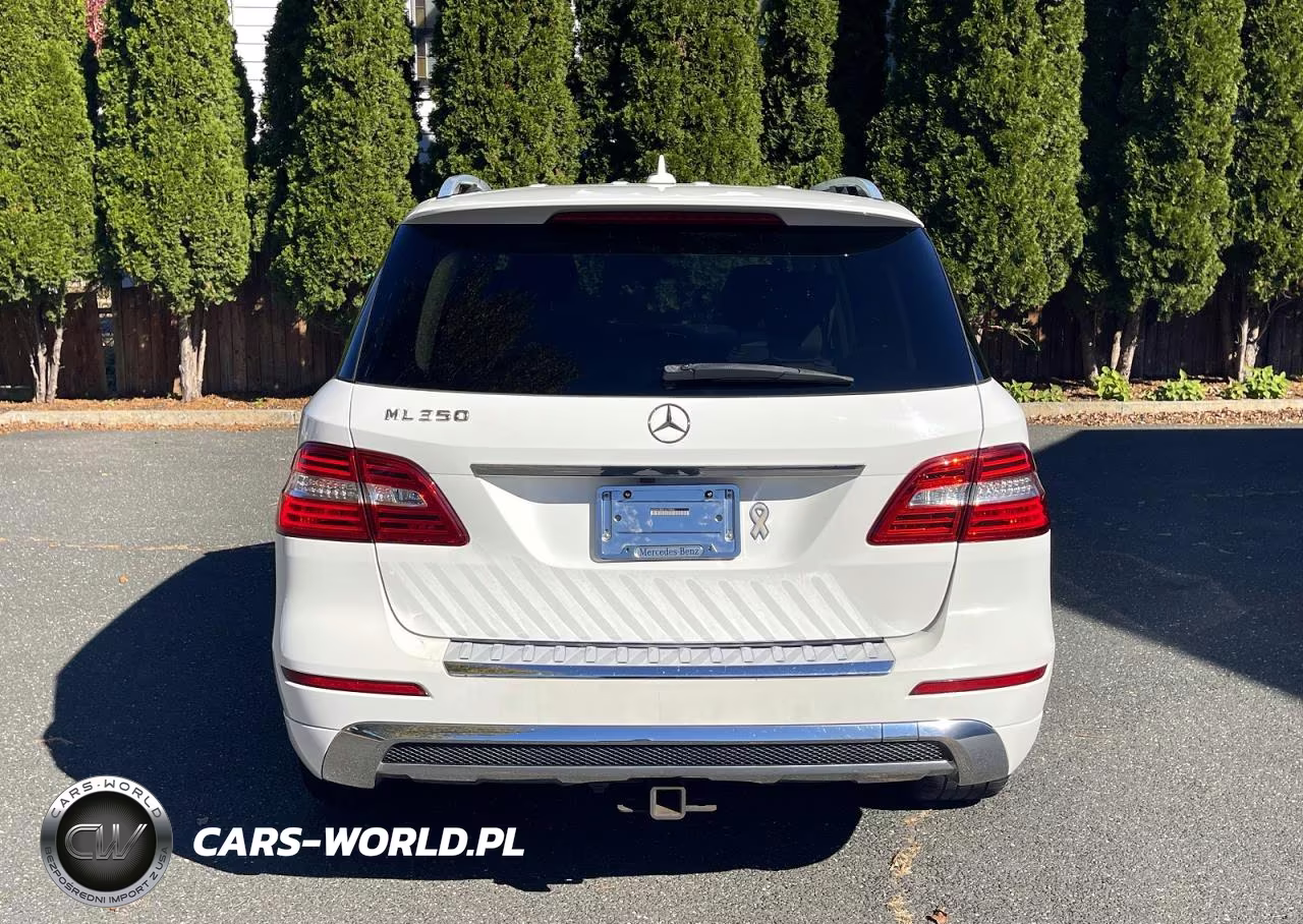 2014 Mercedes-Benz Ml 350 VIN:4JGDA5JB8EA279805 - 11