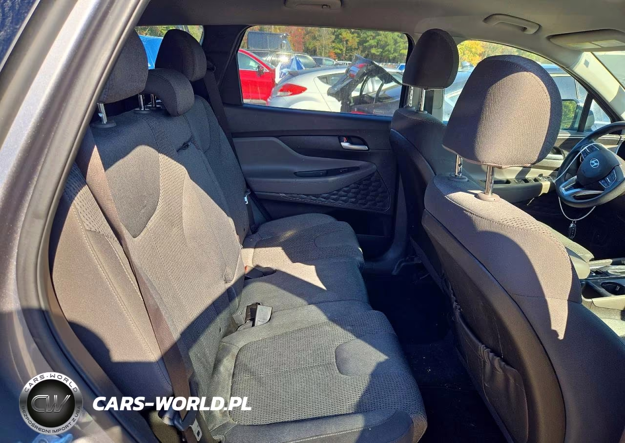 2019 Hyundai Santa Fe Sel 2.4L VIN:5NMS3CAD6KH116521 - 11