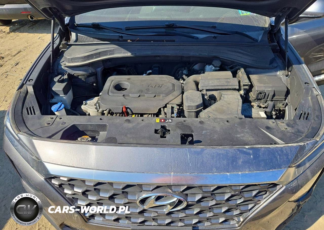 2019 Hyundai Santa Fe Sel 2.4L VIN:5NMS3CAD6KH116521 - 12