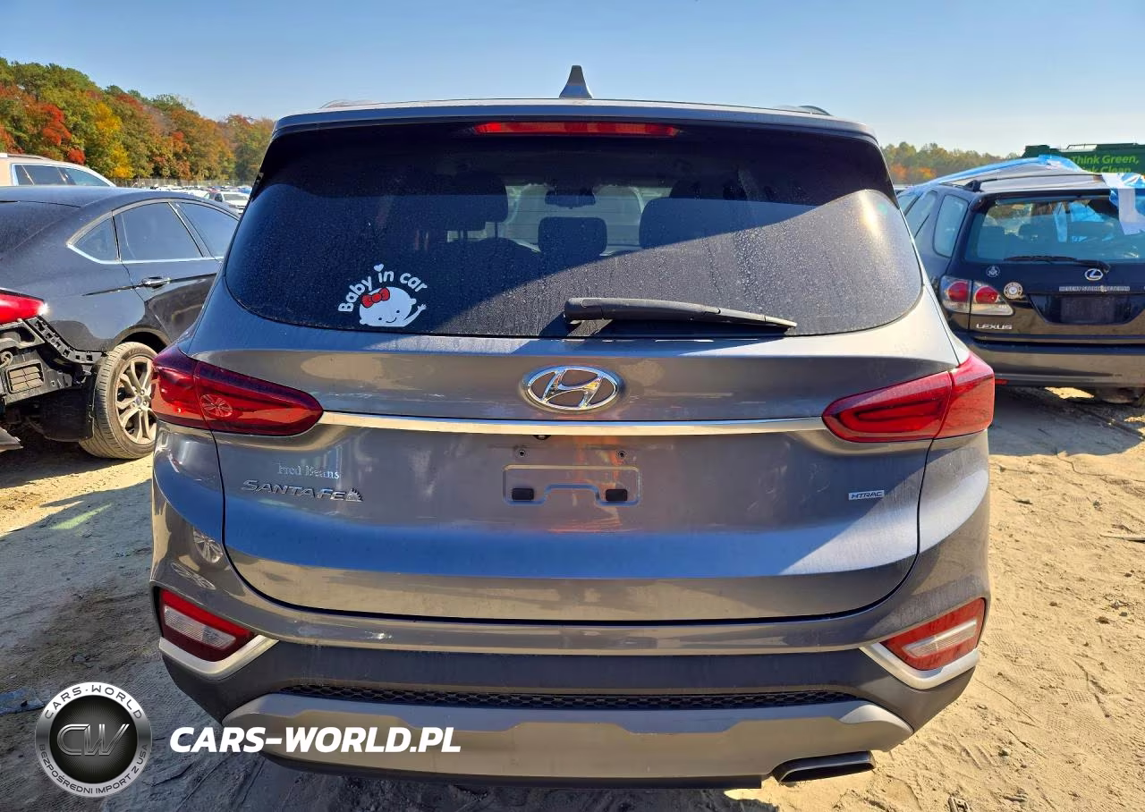 2019 Hyundai Santa Fe Sel 2.4L VIN:5NMS3CAD6KH116521 - 6