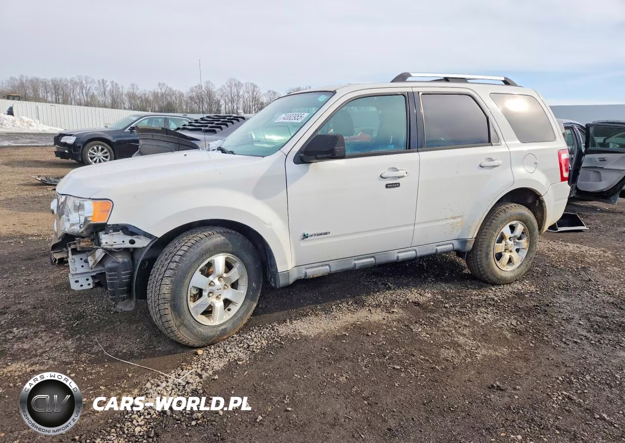 2010 Ford Escape Hybrid