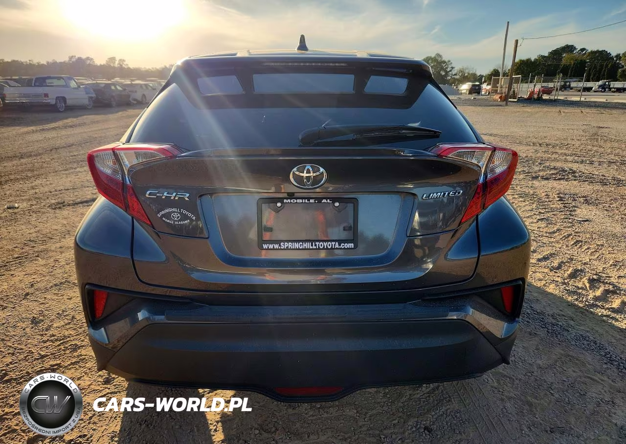 2020 Toyota C-Hr Limited VIN:JTNKHMBXXL1078413 - 6