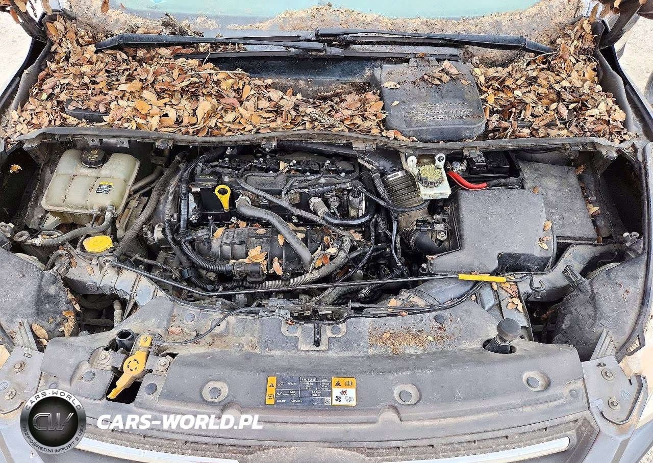 2013 Ford Escape Se VIN:1FMCU0GX5DUC78391 - 12