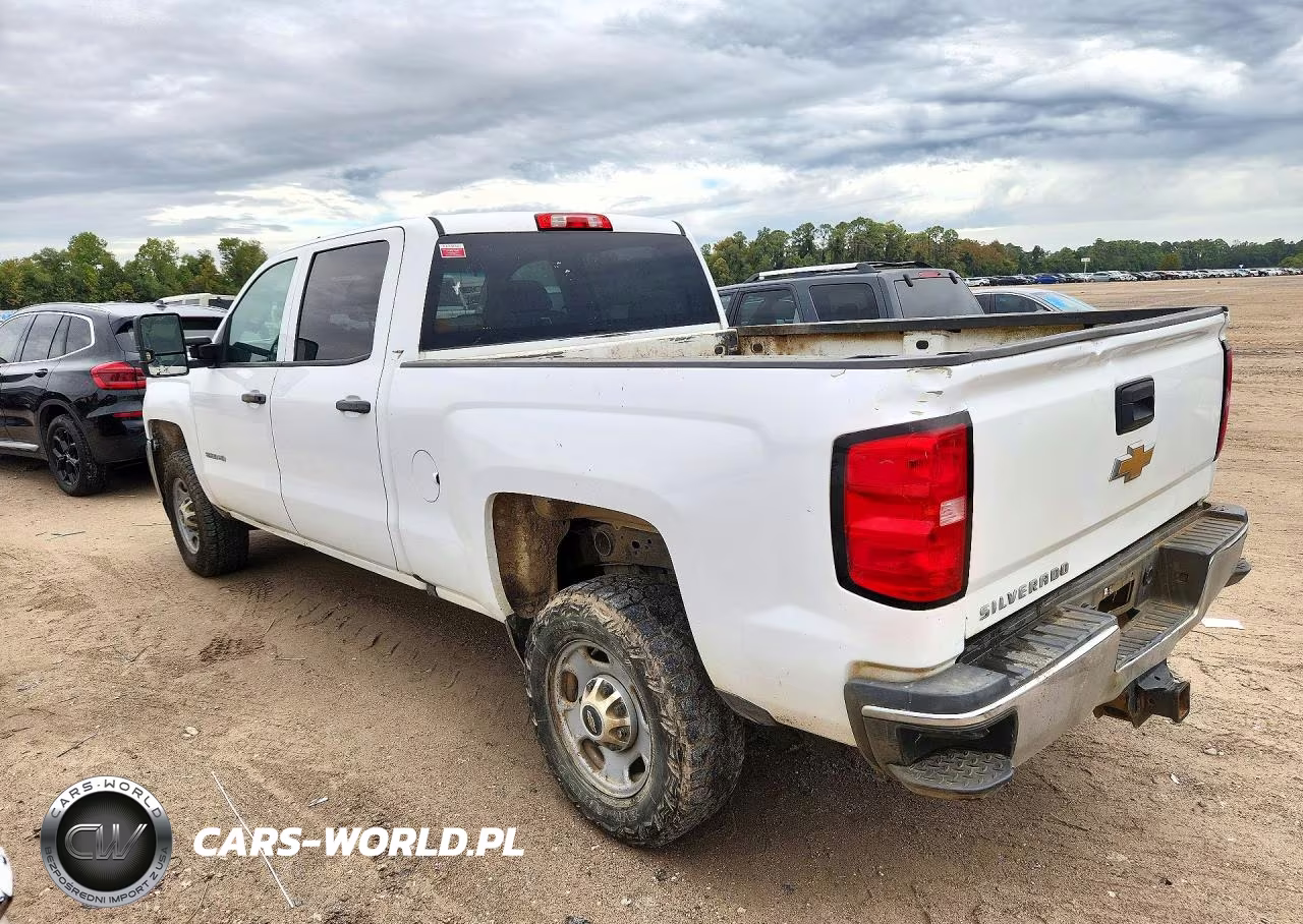 2019 Chevrolet Silverado C2500 Heavy Duty VIN:1GC1CREG3KF132983 - 2