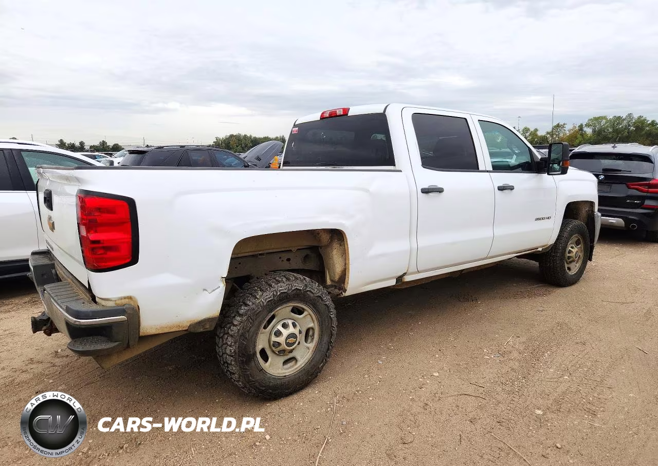 2019 Chevrolet Silverado C2500 Heavy Duty VIN:1GC1CREG3KF132983 - 3
