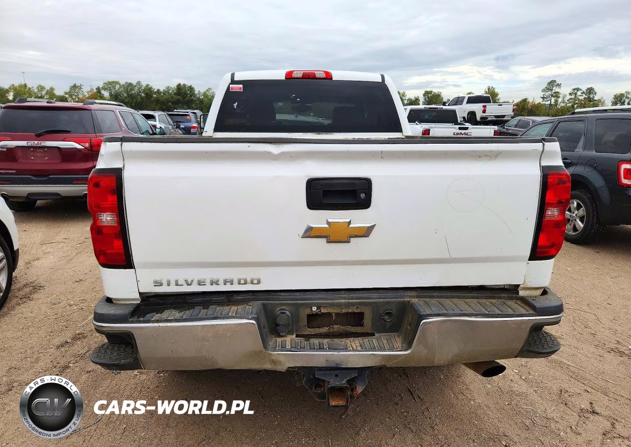 2019 Chevrolet Silverado C2500 Heavy Duty VIN:1GC1CREG3KF132983 - 6