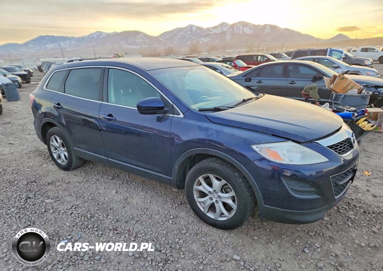 2012 Mazda Cx-9 VIN:JM3TB3CA9C0359775 - 4