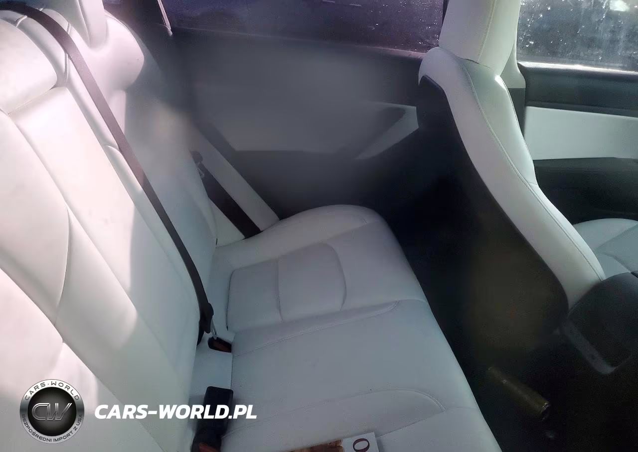 2020 Tesla Model 3 VIN:5YJ3E1EC4LF624459 - 10
