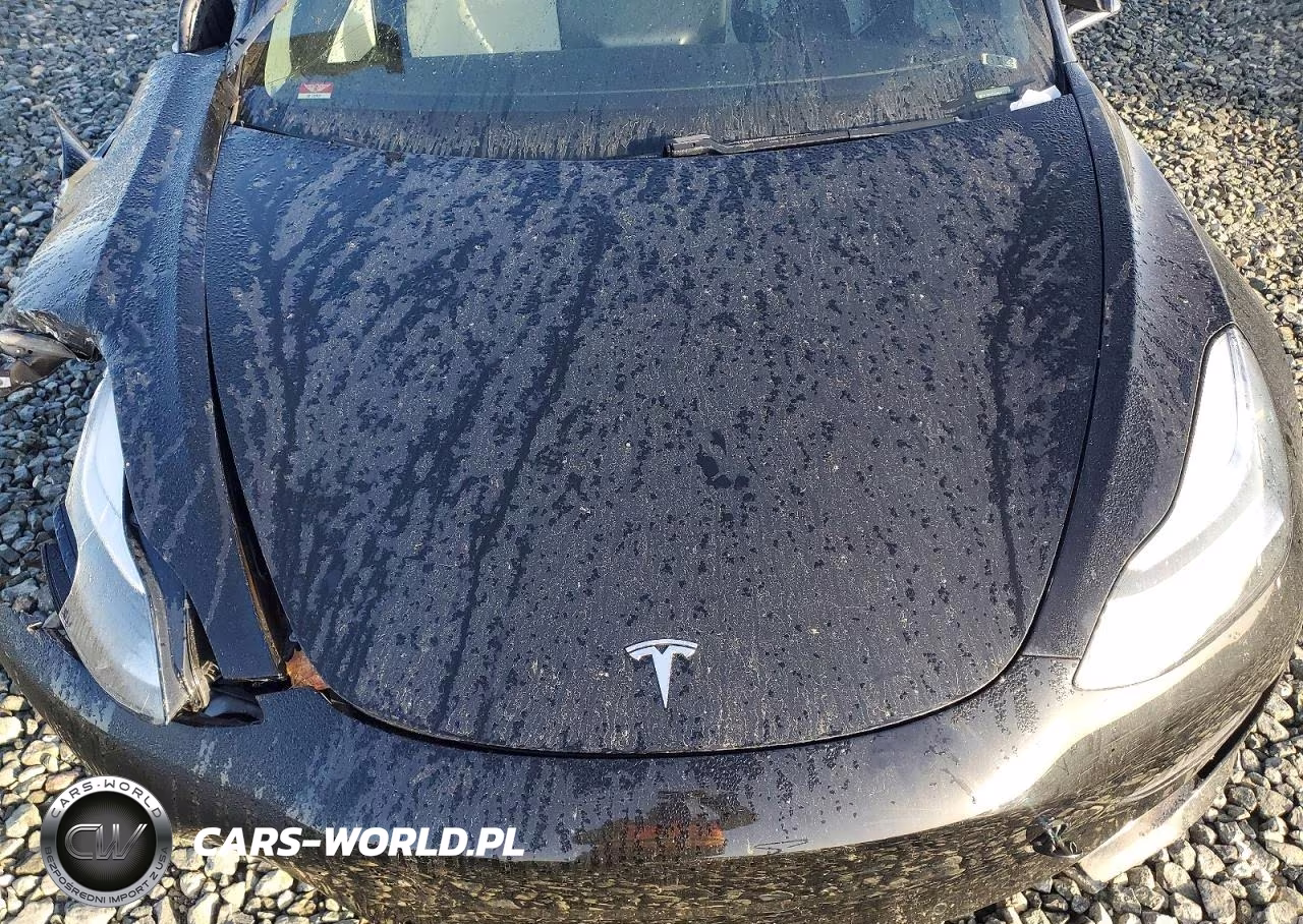 2020 Tesla Model 3 VIN:5YJ3E1EC4LF624459 - 11
