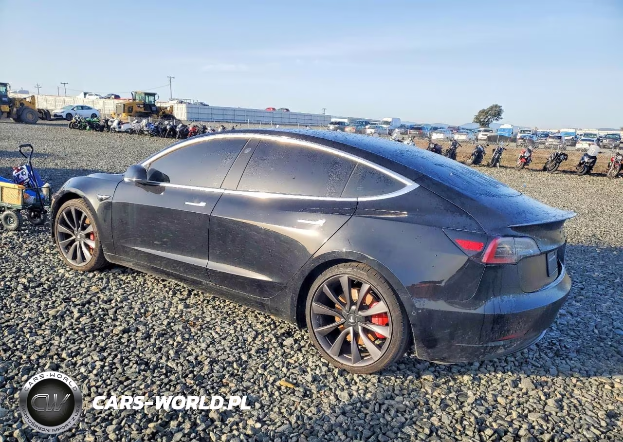 2020 Tesla Model 3 VIN:5YJ3E1EC4LF624459 - 2