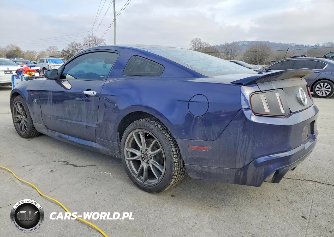 2010 Ford Mustang Gt VIN:1ZVBP8CH3A5106240 - 2