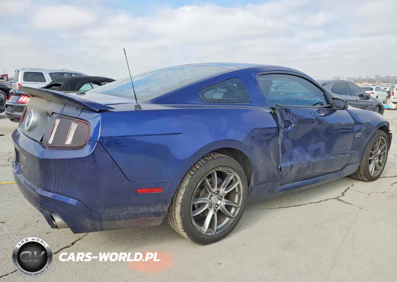 2010 Ford Mustang Gt VIN:1ZVBP8CH3A5106240 - 3