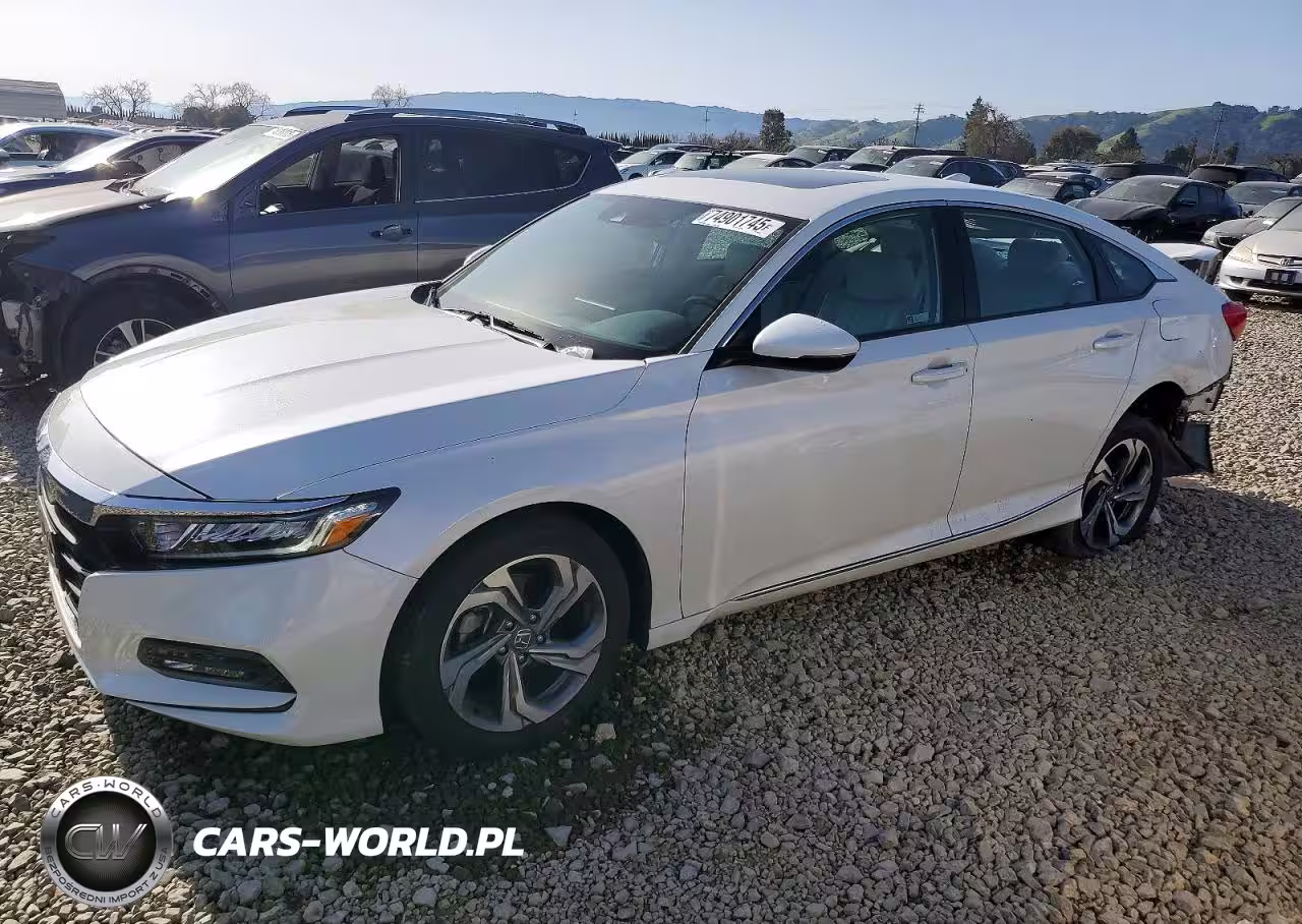 2019 Honda Accord Exl