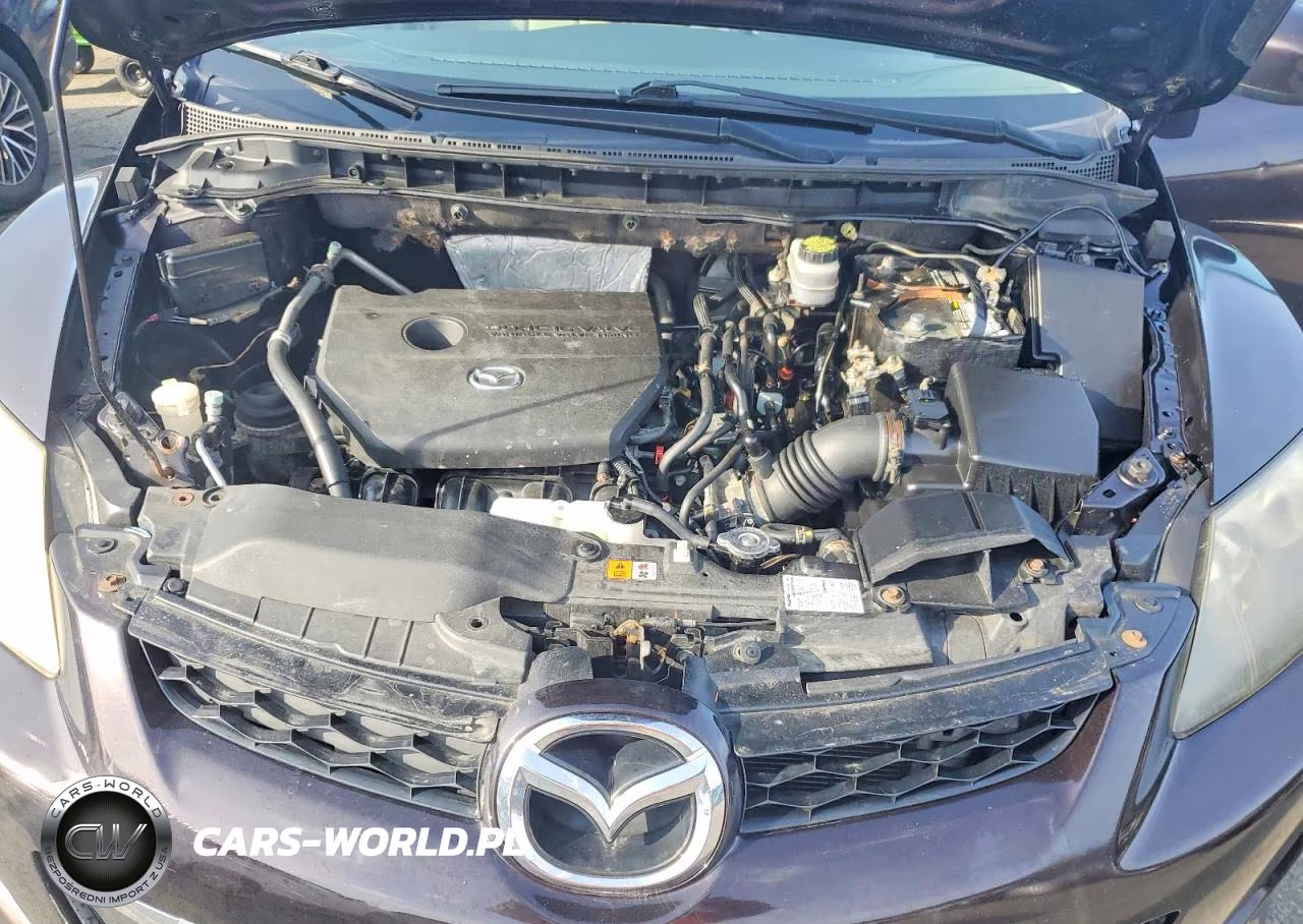 2010 Mazda Cx-7 VIN:JM3ER2WM9A0306141 - 12