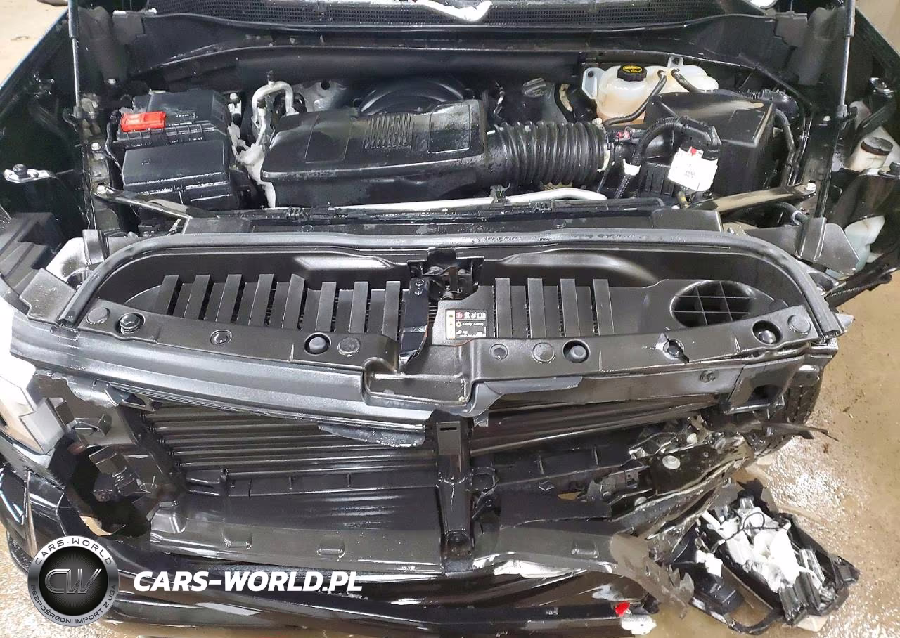 2024 Chevrolet Silverado K1500 Lt Trail Boss VIN:3GCUDFED1RG330288 - 11