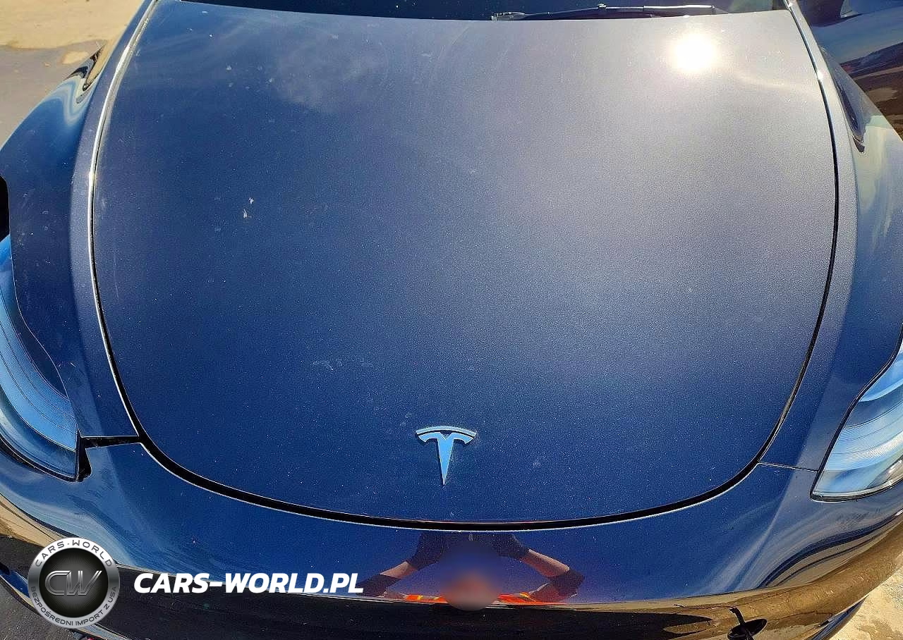 2024 Tesla Model Y VIN:7SAYGAEE9RF166768 - 11