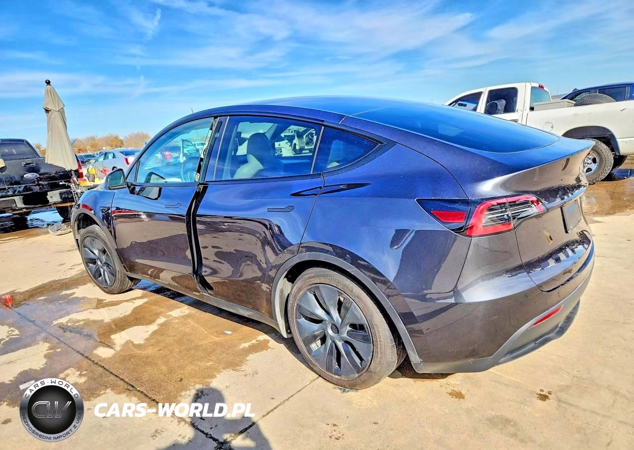 2024 Tesla Model Y VIN:7SAYGAEE9RF166768 - 2