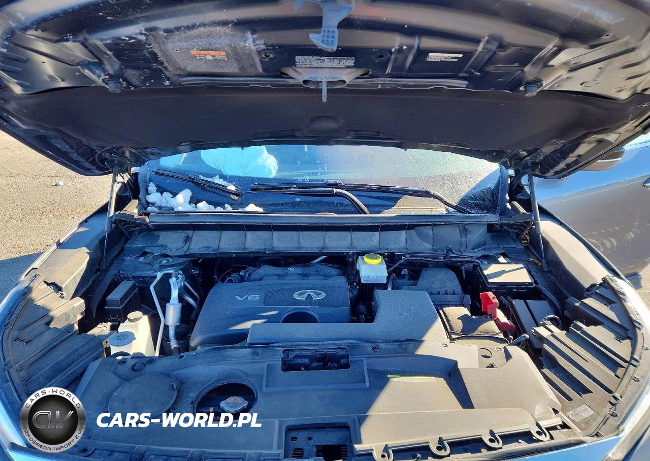 2023 Infiniti Qx60 Pure VIN:5N1DL1ES1PC373836 - 12